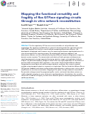 Cover page: Mapping the functional versatility and fragility of Ras GTPase signaling circuits through in vitro network reconstitution