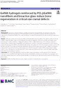 Cover page: GelMA hydrogels reinforced by PCL@GelMA nanofibers and bioactive glass induce bone regeneration in critical size cranial defects.