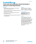 Cover page: Cones and cone pathways remain functional in advanced retinal degeneration