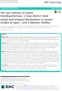 Cover page: The two isoforms of matrix metalloproteinase- 2 have distinct renal spatial and temporal distributions in murine models of types 1 and 2 diabetes mellitus