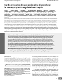 Cover page: The cardiomyocyte disrupts pyrimidine biosynthesis in non-myocytes to regulate heart repair