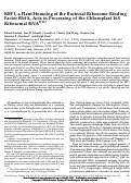 Cover page: RBF1, a Plant Homolog of the Bacterial Ribosome-Binding Factor RbfA, Acts in Processing of the Chloroplast 16S Ribosomal RNA