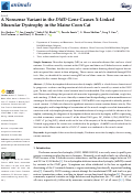 Cover page: A Nonsense Variant in the DMD Gene Causes X-Linked Muscular Dystrophy in the Maine Coon Cat.