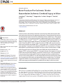 Cover page: Bone Fracture Pre-Ischemic Stroke Exacerbates Ischemic Cerebral Injury in Mice