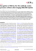 Cover page: Recognition of RNA by the S9.6 antibody creates pervasive artifacts when imaging RNA:DNA hybrids