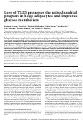 Cover page: Loss of TLE3 promotes the mitochondrial program in beige adipocytes and improves glucose metabolism