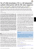 Cover page: The m6A RNA demethylase FTO is a HIF-independent synthetic lethal partner with the VHL tumor suppressor.