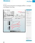 Cover page: Acuity and summation strategies differ in vinegar and desert fruit flies