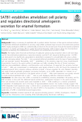 Cover page: SATB1 establishes ameloblast cell polarity and regulates directional amelogenin secretion for enamel formation