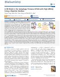 Cover page: LC3B Binds to the Autophagy Protease ATG4b with High Affinity Using a Bipartite Interface