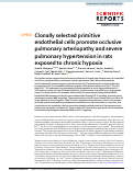 Cover page: Clonally selected primitive endothelial cells promote occlusive pulmonary arteriopathy and severe pulmonary hypertension in rats exposed to chronic hypoxia