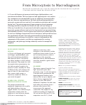 Cover page: From Microcytosis to Macrodiagnosis