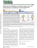 Cover page: Drilling into the Metabolomics to Enhance Insight on Corn and Wheat Responses to Molybdenum Trioxide Nanoparticles.