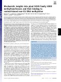 Cover page: Mechanistic insights into plant SUVH family H3K9 methyltransferases and their binding to context-biased non-CG DNA methylation