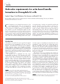 Cover page: Molecular requirements for actin-based lamella formation in Drosophila S2 cells