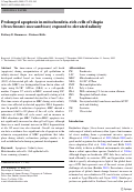 Cover page: Prolonged apoptosis in mitochondria-rich cells of tilapia (Oreochromis mossambicus) exposed to elevated salinity