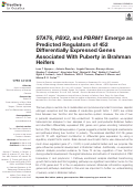 Cover page: STAT6, PBX2, and PBRM1 Emerge as Predicted Regulators of 452 Differentially Expressed Genes Associated With Puberty in Brahman Heifers