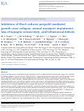 Cover page: Inhibition of RhoA reduces propofol-mediated growth cone collapse, axonal transport impairment, loss of synaptic connectivity, and behavioural deficits