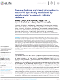 Cover page: Gamma rhythms and visual information in mouse V1 specifically modulated by somatostatin+ neurons in reticular thalamus