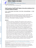 Cover page: Rad51 paralogues Rad55–Rad57 balance the antirecombinase Srs2 in Rad51 filament formation