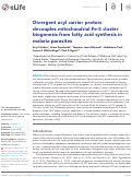 Cover page: Divergent acyl carrier protein decouples mitochondrial Fe-S cluster biogenesis from fatty acid synthesis in malaria parasites