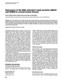 Cover page: Expression of the DNA mismatch repair proteins hMLH1 and hPMS2 in normal human tissues