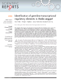 Cover page: Identification of germline transcriptional regulatory elements in Aedes aegypti