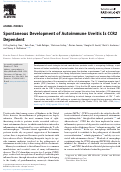 Cover page: Spontaneous Development of Autoimmune Uveitis Is CCR2 Dependent