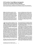 Cover page: CDC42 and Rac1 control different actin-dependent processes in the Drosophila wing disc epithelium.