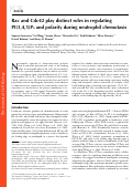 Cover page: Rac and Cdc42 play distinct roles in regulating PI(3,4,5)P3 and polarity during neutrophil chemotaxis