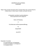Cover page: Repair of the Cerebral Vasculature After Traumatic Brain Injury and the Influence of Beta-Catenin in New Vessel Formation and Injury Outcome