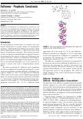 Cover page: Fullerene−Porphyrin Constructs
