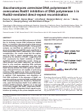 Cover page: Saccharomyces cerevisiae DNA polymerase IV overcomes Rad51 inhibition of DNA polymerase δ in Rad52-mediated direct-repeat recombination