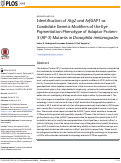 Cover page: Identification of Atg2 and ArfGAP1 as Candidate Genetic Modifiers of the Eye Pigmentation Phenotype of Adaptor Protein-3 (AP-3) Mutants in Drosophila melanogaster