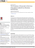 Cover page: The Formation of Stromules In Vitro from Chloroplasts Isolated from Nicotiana benthamiana