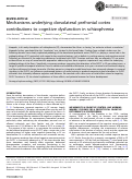 Cover page: Mechanisms underlying dorsolateral prefrontal cortex contributions to cognitive dysfunction in schizophrenia