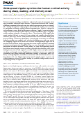 Cover page: Widespread ripples synchronize human cortical activity during sleep, waking, and memory recall