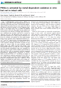 Cover page: PKGIα is activated by metal-dependent oxidation in&nbsp;vitro but&nbsp;not in intact cells