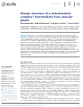 Cover page: Atomic structure of a mitochondrial complex I intermediate from vascular plants