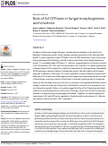 Cover page: Role of Arf GTPases in fungal morphogenesis and virulence