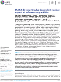 Cover page: IRAK2 directs stimulus-dependent nuclear export of inflammatory mRNAs