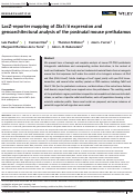 Cover page: LacZ‐reporter mapping of Dlx5/6 expression and genoarchitectural analysis of the postnatal mouse prethalamus