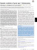 Cover page: Dynamic evolution of great ape Y chromosomes.