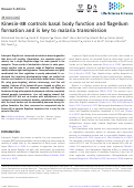 Cover page: Kinesin-8B controls basal body function and flagellum formation and is key to malaria transmission