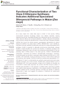 Cover page: Functional Characterization of Two Class II Diterpene Synthases Indicates Additional Specialized Diterpenoid Pathways in Maize (<i>Zea mays</i>).