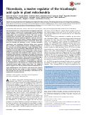 Cover page: Thioredoxin, a master regulator of the tricarboxylic acid cycle in plant mitochondria