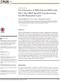 Cover page: The Interaction of RNA Helicase DDX3 with HIV-1 Rev-CRM1-RanGTP Complex during the HIV Replication Cycle