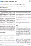 Cover page: Gαs directly drives PDZ-RhoGEF signaling to Cdc42.