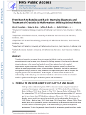 Cover page: Chapter Seventeen From Bench to Bedside and Back Improving Diagnosis and Treatment of Craniofacial Malformations Utilizing Animal Models