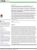 Cover page: Multicopy Single-Stranded DNA Directs Intestinal Colonization of Enteric Pathogens